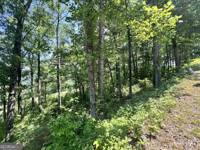 Located in the beautiful Waterfall Club at Lake Burton - Lot J - photo 9