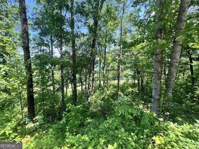 Located in the beautiful Waterfall Club at Lake Burton - Lot J - photo 10