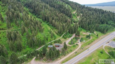Incredible opportunity to own 124 acres of beautiful commercial - photo 5
