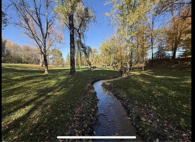 Thornapple Lake Acreage For Sale in Hastings Michigan