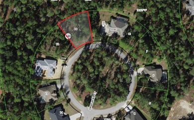Vacant lot nestled in a quiet, low-traffic cul-de-sac within the - photo 1