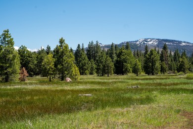 Mountain Meadows Reservoir Acreage For Sale in Westwood California