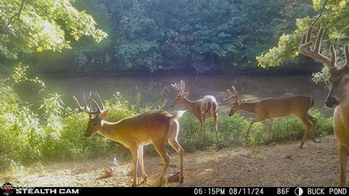 (private lake, pond, creek) Acreage For Sale in El Dorado Springs Missouri