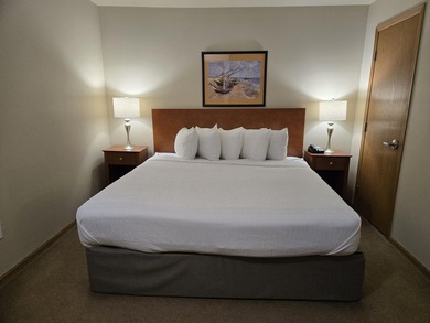 -- Turn-key, fully furnished condo at The Cove of Lake Geneva! - photo 4