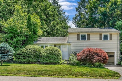 (private lake, pond, creek) Home For Sale in Framingham Massachusetts