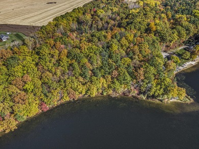 Wabasis Lake Acreage For Sale in Belding Michigan