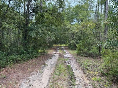 (private lake, pond, coastal) Acreage Active Under Contract in Hortense Georgia