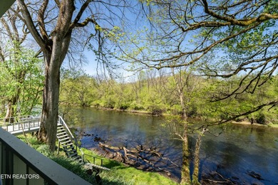 RIVERFRONT RETREAT with almost 13 acres, 300+ Feet of Clinch - photo 25
