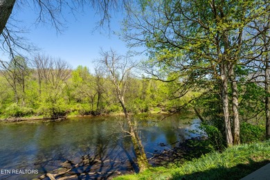 RIVERFRONT RETREAT with almost 13 acres, 300+ Feet of Clinch - photo 27