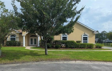 (private lake, pond, coastal) Home For Sale in Saint Marys Georgia