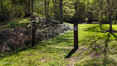 RIVERFRONT RETREAT with almost 13 acres, 300+ Feet of Clinch - photo 31