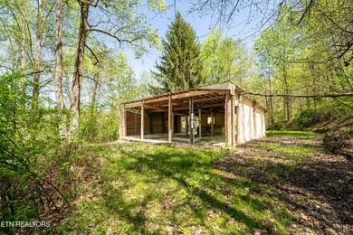 RIVERFRONT RETREAT with almost 13 acres, 300+ Feet of Clinch - photo 33