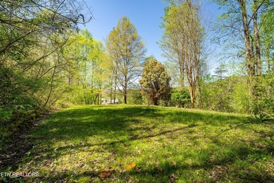 RIVERFRONT RETREAT with almost 13 acres, 300+ Feet of Clinch - photo 35