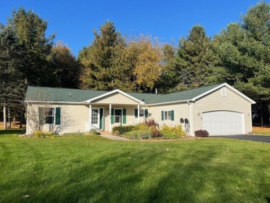 Canadian Lakes Home Sale Pending in Canadian Lakes Michigan