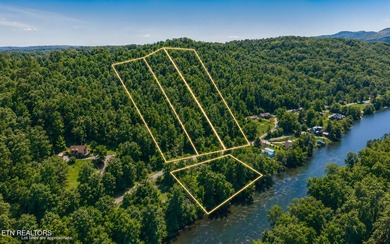 RIVERFRONT RETREAT with almost 13 acres, 300+ Feet of Clinch - photo 44