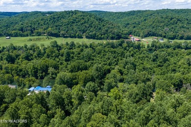 RIVERFRONT RETREAT with almost 13 acres, 300+ Feet of Clinch - photo 47