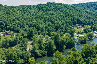 RIVERFRONT RETREAT with almost 13 acres, 300+ Feet of Clinch - photo 50