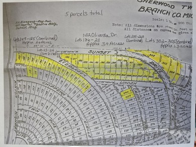 Lake Acreage For Sale in Sherwood, Michigan