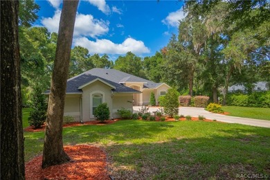 Nestled on a half-acre lot in the desirable community of Rainbow - photo 2
