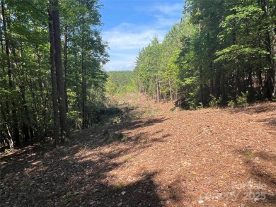 Lake Lot For Sale in Nebo, North Carolina