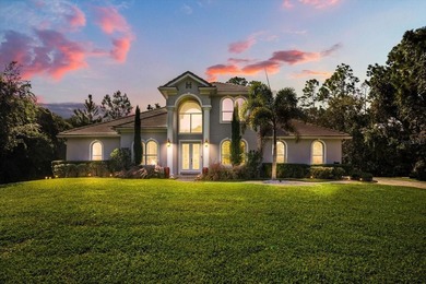 Lake Sheen Home For Sale in Orlando Florida
