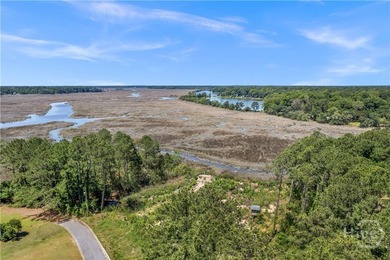 1.46 ACRES on the marsh! MARSH FRONT lot WITH TIDAL CREEK, has - photo 3