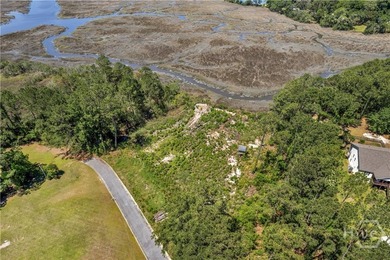 1.46 ACRES on the marsh! MARSH FRONT lot WITH TIDAL CREEK, has - photo 4