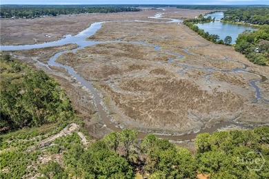 1.46 ACRES on the marsh! MARSH FRONT lot WITH TIDAL CREEK, has - photo 5