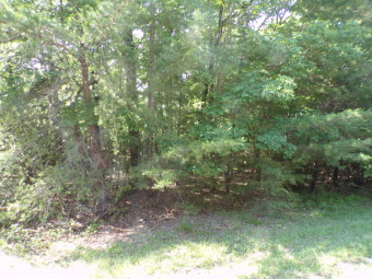 Lake Lot Off Market in Fairfield Glade, Tennessee