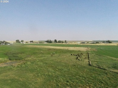 Discover a unique opportunity to own a productive and fertile - photo 2