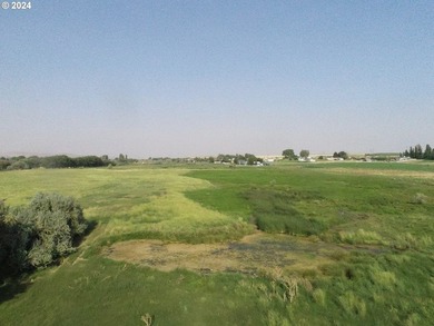 Discover a unique opportunity to own a productive and fertile - photo 3