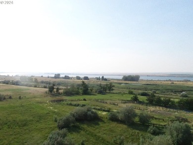 Discover a unique opportunity to own a productive and fertile - photo 4