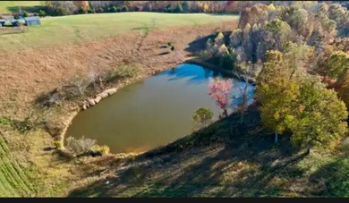 Rare find !! House and 21.04 acres in Adair County. House - photo 36