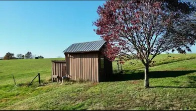 Rare find !! House and 21.04 acres in Adair County. House - photo 38
