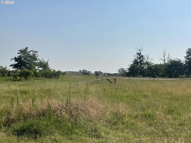 Discover a unique opportunity to own a productive and fertile - photo 9
