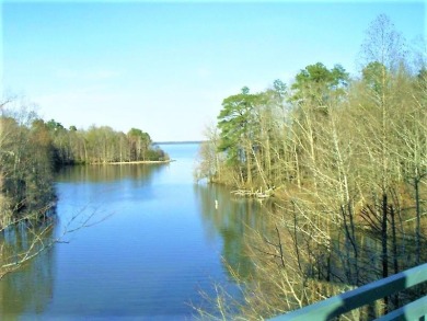 Lake Marion Home Sale Pending in Santee South Carolina