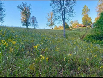 Rare find !! House and 21.04 acres in Adair County. House - photo 46