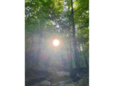 Rare find !! House and 21.04 acres in Adair County. House - photo 47