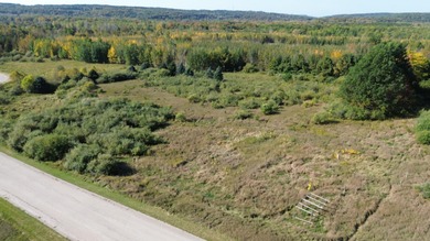 Crystal Lake - Benzie County Commercial For Sale in Benzonia Michigan