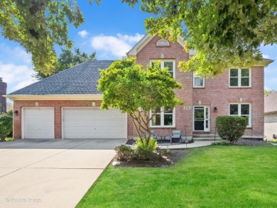 Lake Home For Sale in Winfield, Illinois