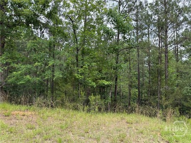 Build your dream home near the shores of Clarks Hill Lake on - photo 3