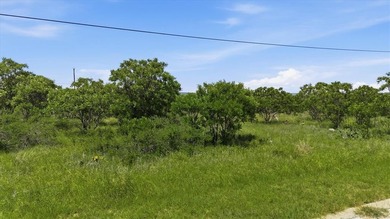 Come build your dream home in The Cliffs at Possum Kingdom and - photo 3
