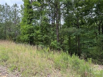 Build your dream home near the shores of Clarks Hill Lake on - photo 1