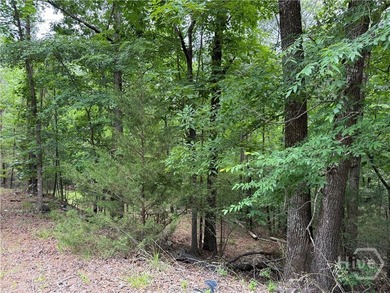 Build your dream home near the shores of Clarks Hill Lake on - photo 3