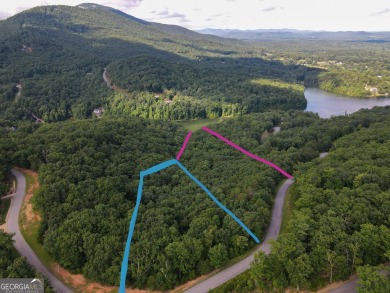 Lake Acreage For Sale in Cleveland, Georgia
