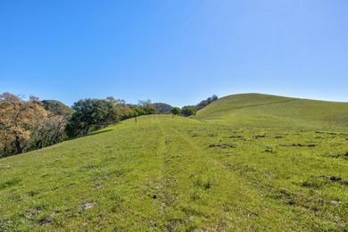 Exceptional 154+ Acre Estate in Prime East San Jose Location - photo 2