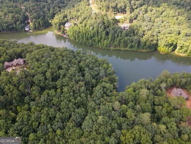 Lake Acreage For Sale in Cleveland, Georgia