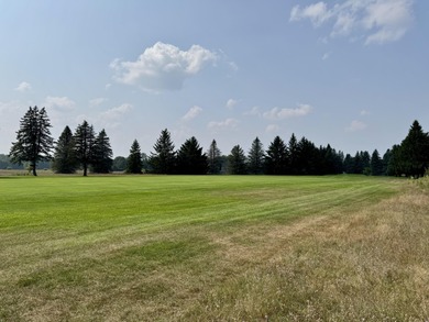 Lake Lot For Sale in Canadian Lakes, Michigan