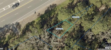 Wooded .030-acre lot zoned R-2-A/EO with potential for - photo 1