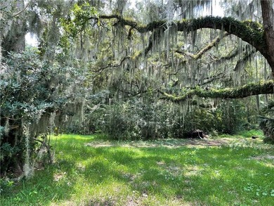 Build your dream home! This property offers a recorded easement - photo 1